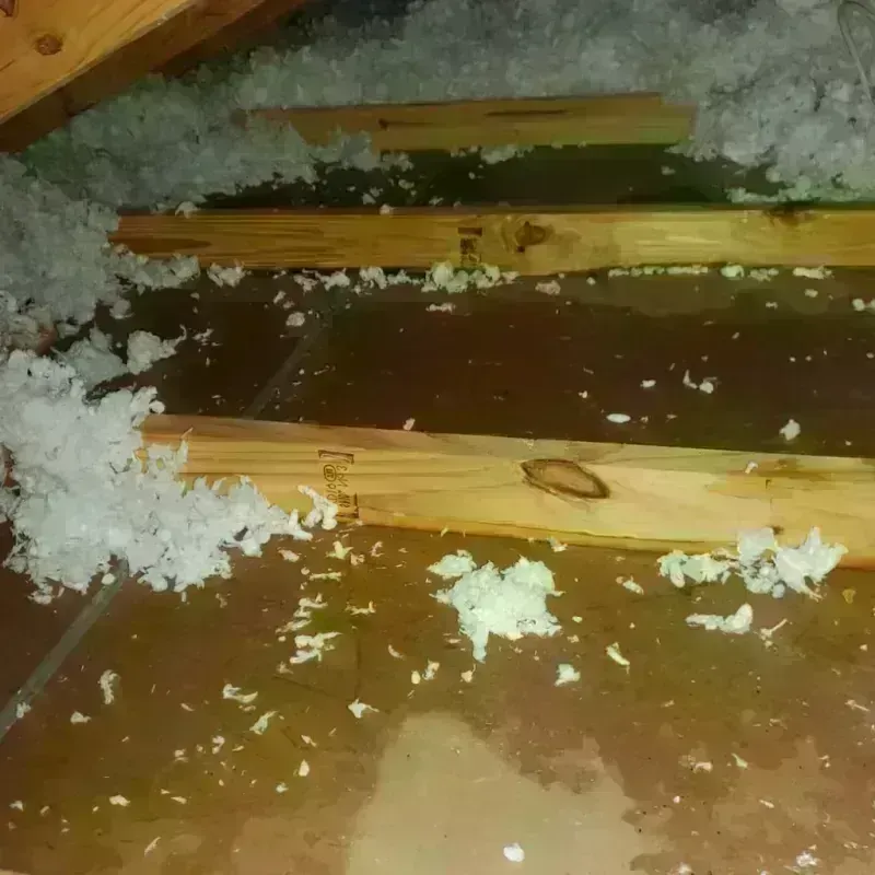 Attic Water Damage in Arlington, VT